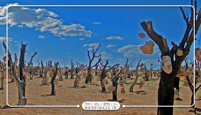 بلیط قطار مشهد سیرجان